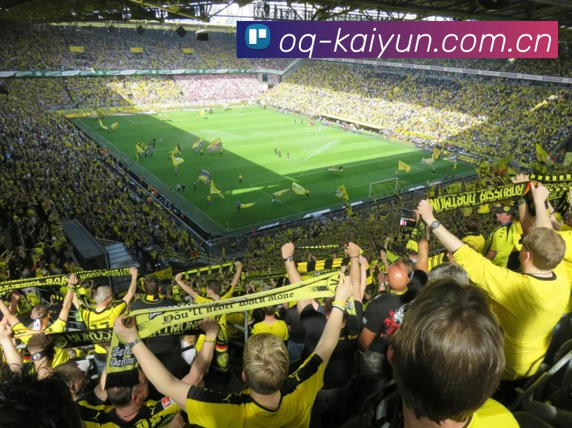 开云·体育(kaiyun)官方网站_app下载KAIYUN SPORTS App